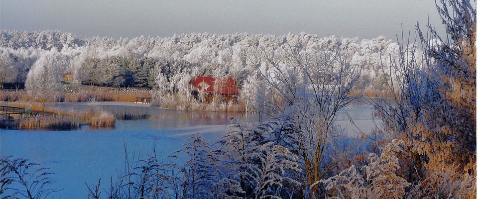 Wintermärchen - Blick über den See